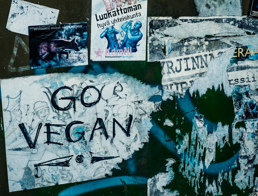 How to Transition to a Vegan Diet
